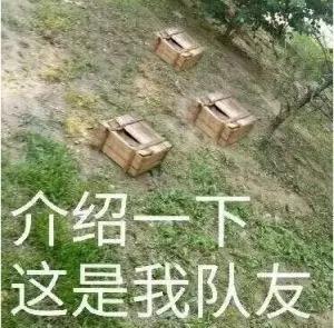 【一起浪荒野术语】伏地魔是趴在地上的魔鬼吗？ 狙击 坦克 狙击枪 射击 过桥 跳伞 术语 伏地 伏地魔 荒野 新闻资讯  第2张