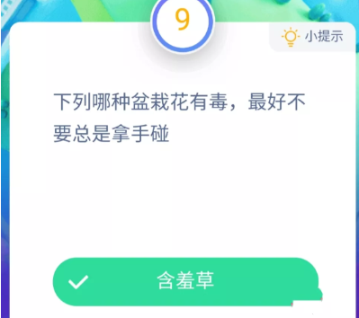 下列哪种盆栽花有毒最好不要总是拿手碰？ 支付宝 软件园 什么花有毒 庄园 蚂蚁庄园 11月1 下列 哪种 盆栽 有毒 新闻资讯  第2张