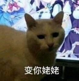 抖音快给我变，变你姥姥表情包 热门音乐 小伙伴 动漫 整理 猫娘 body 抖音 姥姥 表情包 表情 新闻资讯  第2张