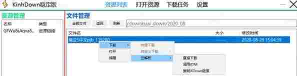 kinhdown电脑版(网盘不限速下载工具) 没法 电脑 文件 网盘 down own ki 10 nh 免费下载 软件下载  第3张