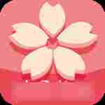 樱花社区app免费版