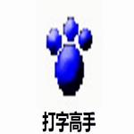 打字高手