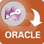 AccessToOracle(Access转oracle工具)