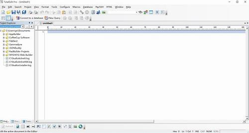TotalEdit Pro(文本编辑器) To Edit strong 数据库 TotalEdit 2 on 文本 文件 Total 软件下载  第1张