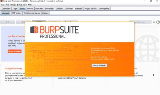 burpsuite(电脑渗透测试程序) 漏洞扫描 suite Web 扫描仪 strong on Burp 2 urp 漏洞 软件下载  第1张