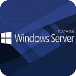 windows server 2022