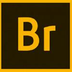 adobe bridge 2022(图像管理软件)