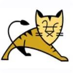 apache tomcat(Web服务器)