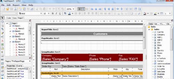 fastreport(报表制作软件) O 2 报表 Fast on strong 数据库 in epo as 软件下载  第1张