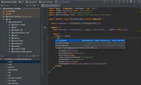 webstorm(开发软件) as strong 代码 2 on in webstorm storm web to 软件下载  第1张