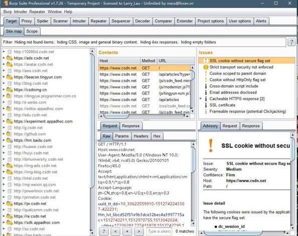 burpsuite(电脑渗透测试程序) ps burpsuite web Burp ui 漏洞 2 on strong urp 软件下载  第1张